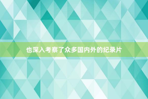 也深入考察了众多国内外的纪录片