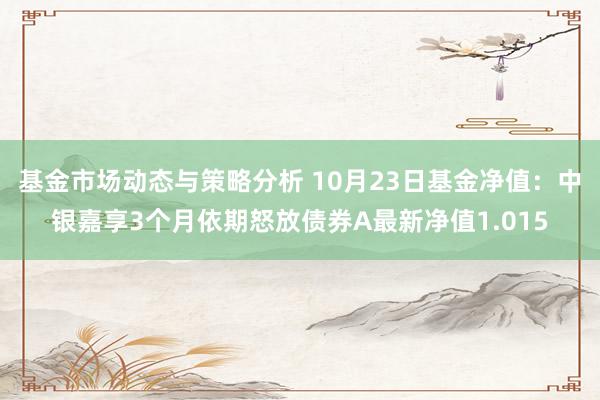 基金市场动态与策略分析 10月23日基金净值：中银嘉享3个月依期怒放债券A最新净值1.015