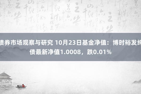 债券市场观察与研究 10月23日基金净值：博时裕发纯债最新净值1.0008，跌0.01%