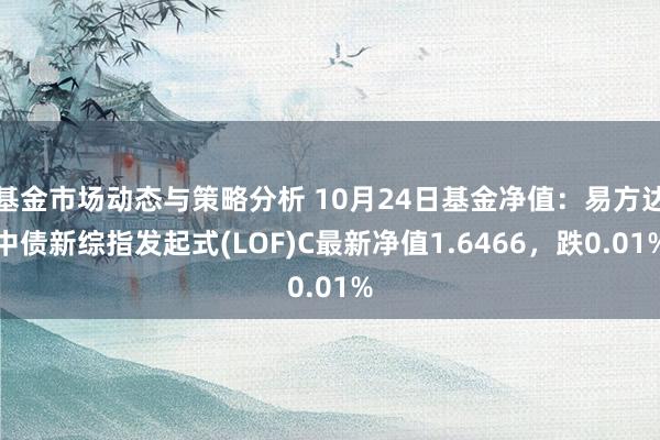 基金市场动态与策略分析 10月24日基金净值：易方达中债新综指发起式(LOF)C最新净值1.6466，跌0.01%