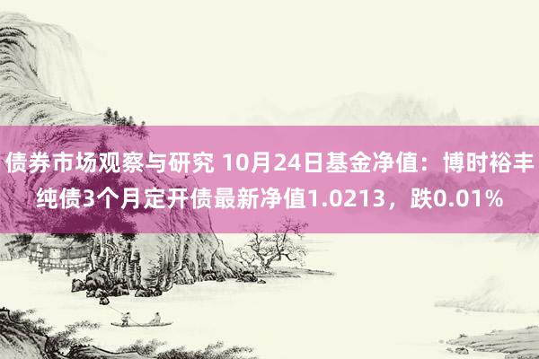 债券市场观察与研究 10月24日基金净值：博时裕丰纯债3个月定开债最新净值1.0213，跌0.01%