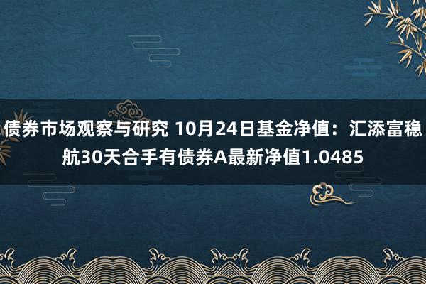 债券市场观察与研究 10月24日基金净值：汇添富稳航30天合手有债券A最新净值1.0485