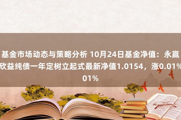 基金市场动态与策略分析 10月24日基金净值：永赢欣益纯债一年定树立起式最新净值1.0154，涨0.01%