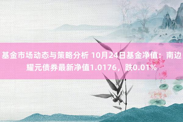 基金市场动态与策略分析 10月24日基金净值：南边耀元债券最新净值1.0176，跌0.01%