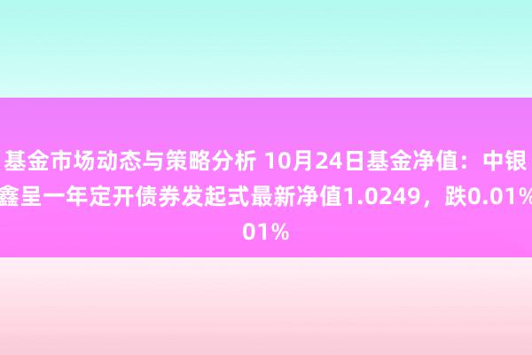 基金市场动态与策略分析 10月24日基金净值：中银鑫呈一年定开债券发起式最新净值1.0249，跌0.01%