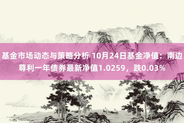 基金市场动态与策略分析 10月24日基金净值：南边尊利一年债券最新净值1.0259，跌0.03%