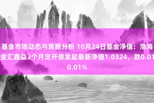 基金市场动态与策略分析 10月24日基金净值：渤海汇金汇鑫益3个月定开债发起最新净值1.0324，跌0.01%