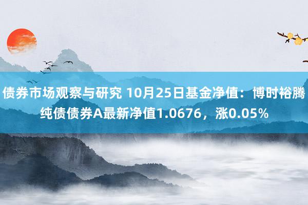 债券市场观察与研究 10月25日基金净值：博时裕腾纯债债券A最新净值1.0676，涨0.05%