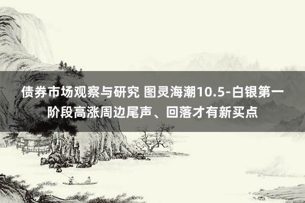 债券市场观察与研究 图灵海潮10.5-白银第一阶段高涨周边尾声、回落才有新买点