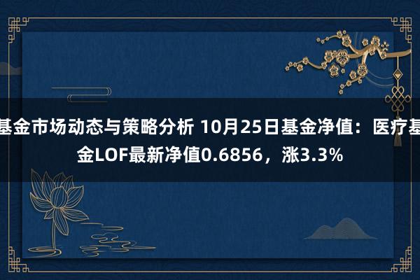 基金市场动态与策略分析 10月25日基金净值：医疗基金LOF最新净值0.6856，涨3.3%