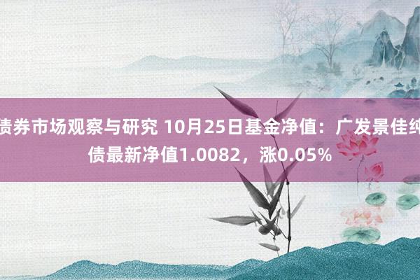 债券市场观察与研究 10月25日基金净值：广发景佳纯债最新净值1.0082，涨0.05%