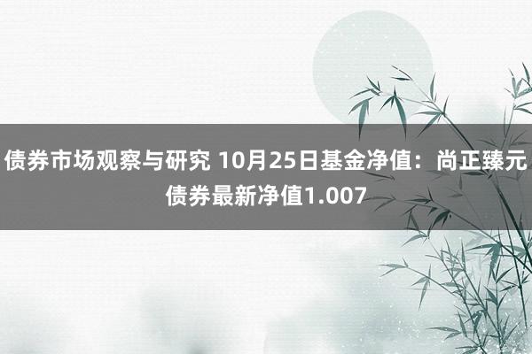 债券市场观察与研究 10月25日基金净值：尚正臻元债券最新净值1.007