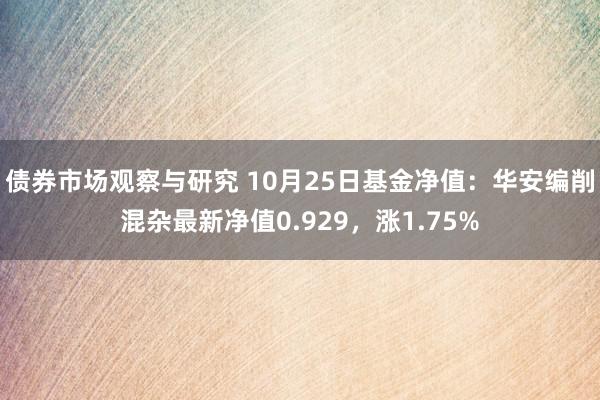 债券市场观察与研究 10月25日基金净值：华安编削混杂最新净值0.929，涨1.75%