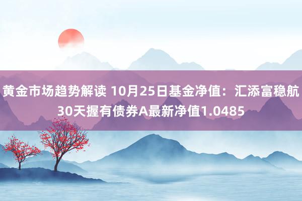 黄金市场趋势解读 10月25日基金净值：汇添富稳航30天握有债券A最新净值1.0485