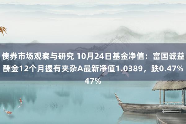 债券市场观察与研究 10月24日基金净值：富国诚益酬金12个月握有夹杂A最新净值1.0389，跌0.47%