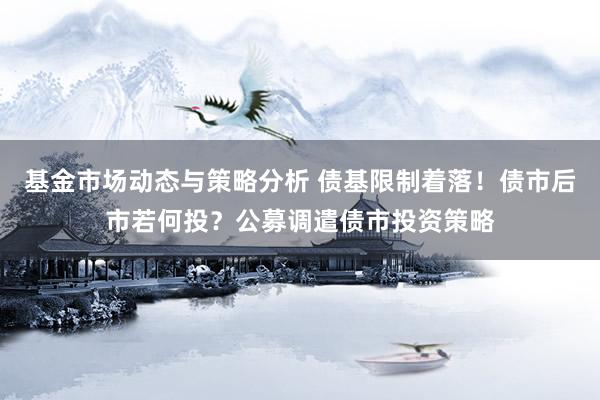 基金市场动态与策略分析 债基限制着落！债市后市若何投？公募调遣债市投资策略