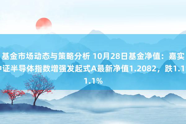 基金市场动态与策略分析 10月28日基金净值：嘉实中证半导体指数增强发起式A最新净值1.2082，跌1.1%