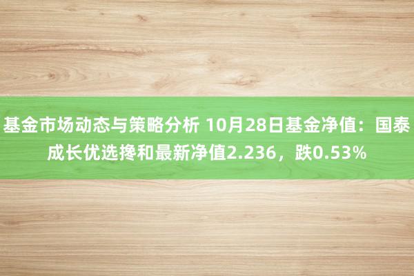 基金市场动态与策略分析 10月28日基金净值：国泰成长优选搀和最新净值2.236，跌0.53%