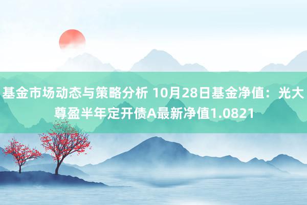 基金市场动态与策略分析 10月28日基金净值：光大尊盈半年定开债A最新净值1.0821