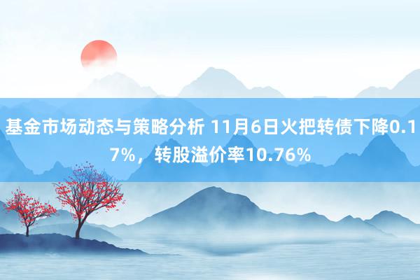 基金市场动态与策略分析 11月6日火把转债下降0.17%，转股溢价率10.76%