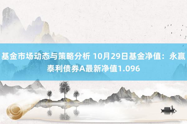 基金市场动态与策略分析 10月29日基金净值：永赢泰利债券A最新净值1.096