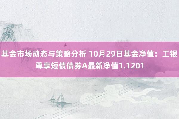 基金市场动态与策略分析 10月29日基金净值：工银尊享短债债券A最新净值1.1201