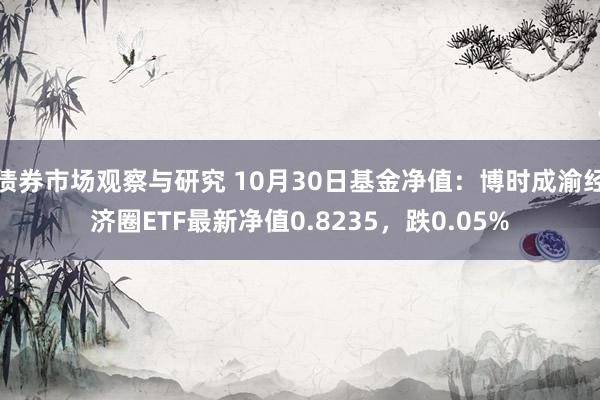 债券市场观察与研究 10月30日基金净值：博时成渝经济圈ETF最新净值0.8235，跌0.05%