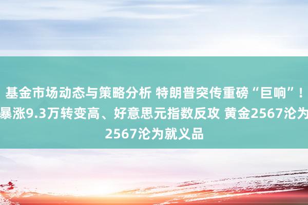 基金市场动态与策略分析 特朗普突传重磅“巨响”！比特币暴涨9.3万转变高、好意思元指数反攻 黄金2567沦为就义品