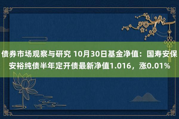 债券市场观察与研究 10月30日基金净值：国寿安保安裕纯债半年定开债最新净值1.016，涨0.01%