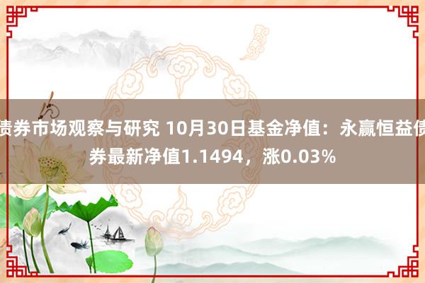 债券市场观察与研究 10月30日基金净值：永赢恒益债券最新净值1.1494，涨0.03%