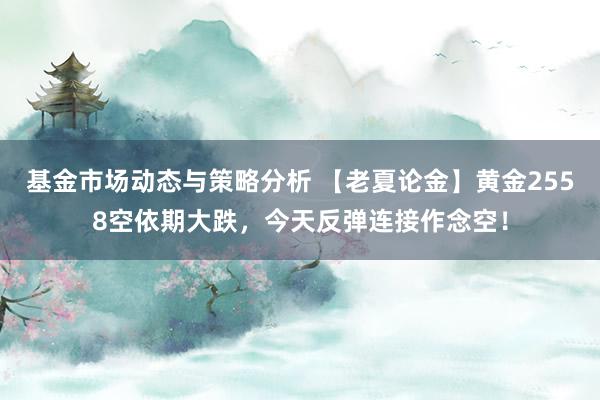 基金市场动态与策略分析 【老夏论金】黄金2558空依期大跌，今天反弹连接作念空！