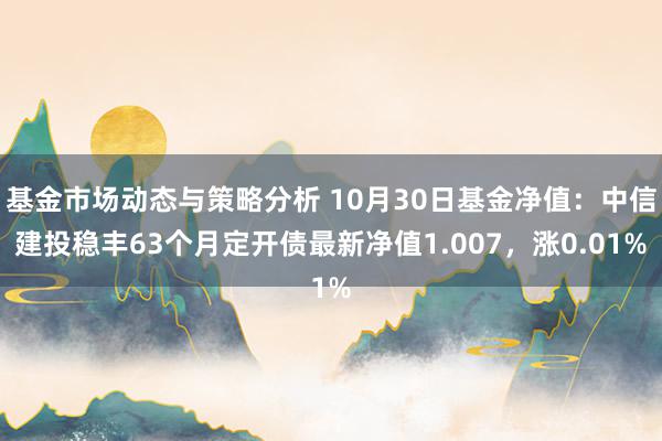 基金市场动态与策略分析 10月30日基金净值：中信建投稳丰63个月定开债最新净值1.007，涨0.01%