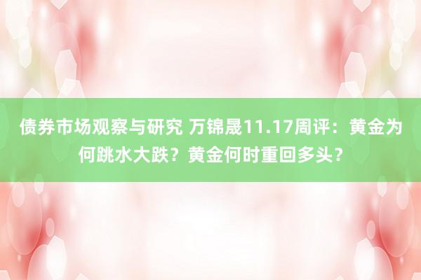 债券市场观察与研究 万锦晟11.17周评：黄金为何跳水大跌？黄金何时重回多头？