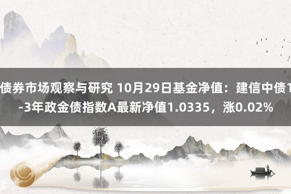 债券市场观察与研究 10月29日基金净值：建信中债1-3年政金债指数A最新净值1.0335，涨0.02%