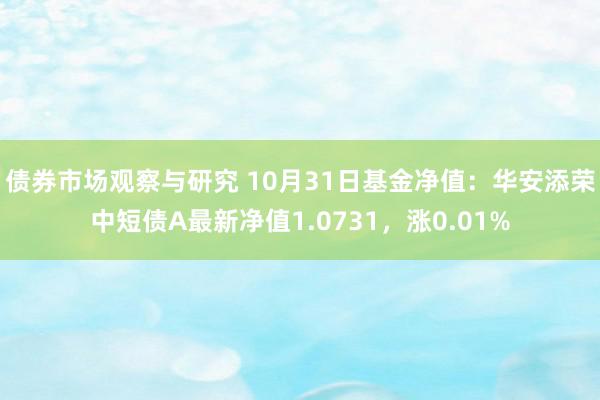 债券市场观察与研究 10月31日基金净值：华安添荣中短债A最新净值1.0731，涨0.01%