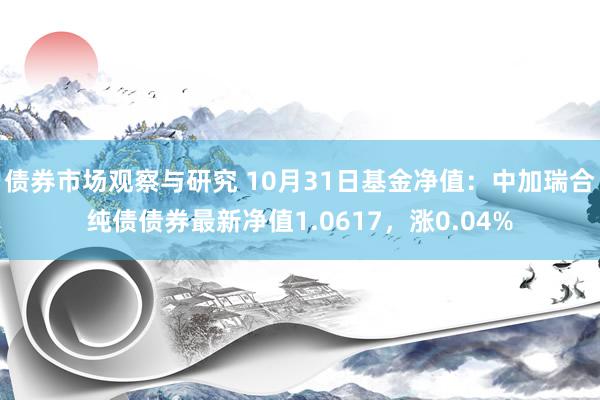 债券市场观察与研究 10月31日基金净值：中加瑞合纯债债券最新净值1.0617，涨0.04%