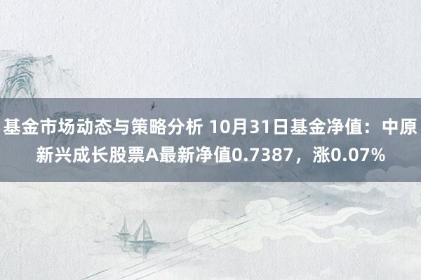 基金市场动态与策略分析 10月31日基金净值：中原新兴成长股票A最新净值0.7387，涨0.07%