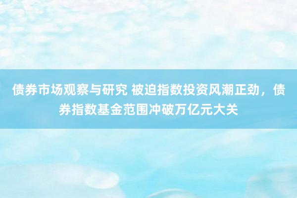 债券市场观察与研究 被迫指数投资风潮正劲，债券指数基金范围冲破万亿元大关