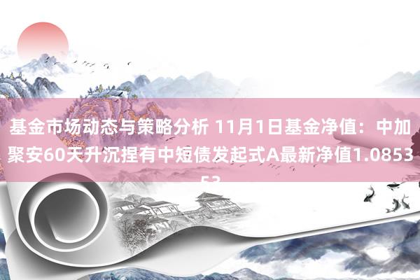 基金市场动态与策略分析 11月1日基金净值：中加聚安60天升沉捏有中短债发起式A最新净值1.0853