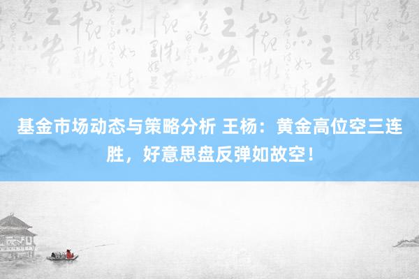 基金市场动态与策略分析 王杨：黄金高位空三连胜，好意思盘反弹如故空！