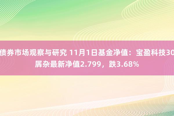 债券市场观察与研究 11月1日基金净值：宝盈科技30羼杂最新净值2.799，跌3.68%