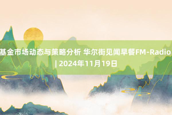 基金市场动态与策略分析 华尔街见闻早餐FM-Radio | 2024年11月19日