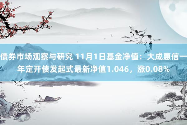 债券市场观察与研究 11月1日基金净值：大成惠信一年定开债发起式最新净值1.046，涨0.08%