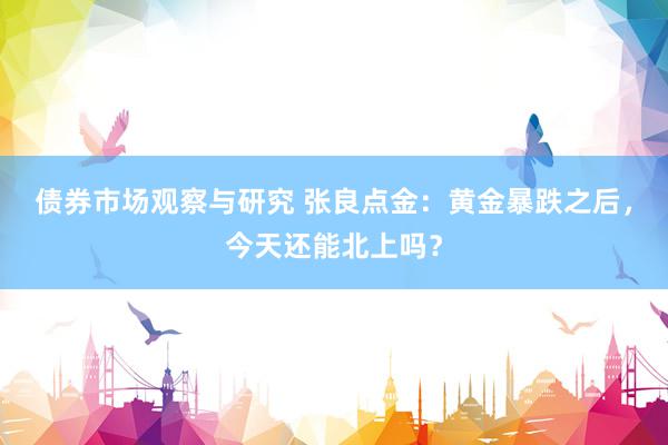 债券市场观察与研究 张良点金：黄金暴跌之后，今天还能北上吗？