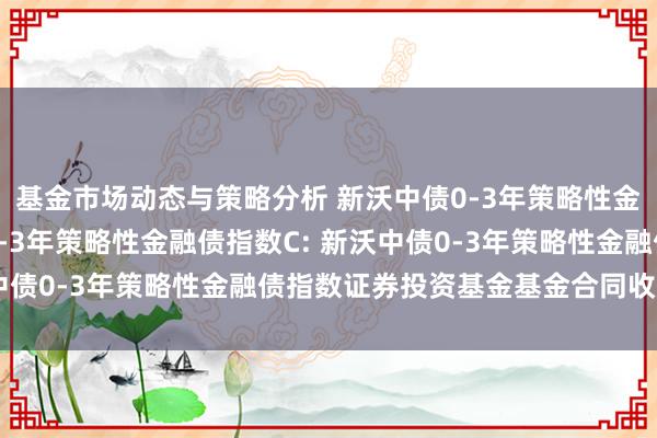 基金市场动态与策略分析 新沃中债0-3年策略性金融债指数A,新沃中债0-3年策略性金融债指数C: 新沃中债0-3年策略性金融债指数证券投资基金基金合同收效公告