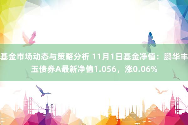 基金市场动态与策略分析 11月1日基金净值：鹏华丰玉债券A最新净值1.056，涨0.06%