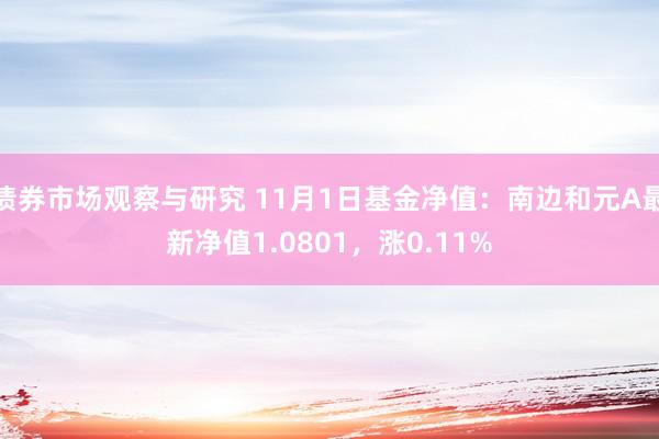 债券市场观察与研究 11月1日基金净值：南边和元A最新净值1.0801，涨0.11%