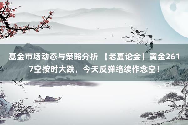 基金市场动态与策略分析 【老夏论金】黄金2617空按时大跌，今天反弹络续作念空！