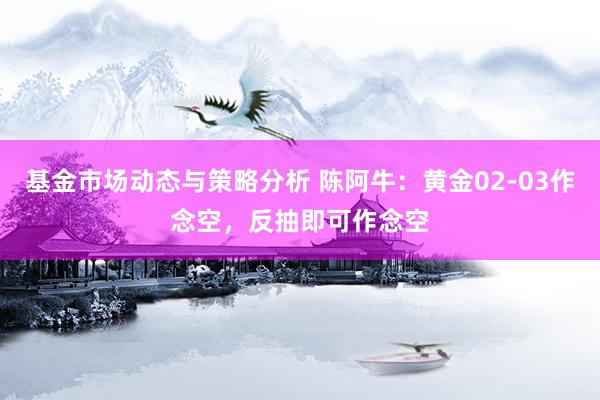 基金市场动态与策略分析 陈阿牛：黄金02-03作念空，反抽即可作念空