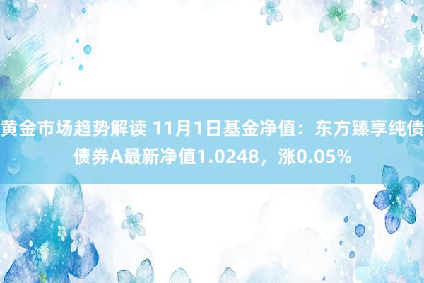 黄金市场趋势解读 11月1日基金净值：东方臻享纯债债券A最新净值1.0248，涨0.05%